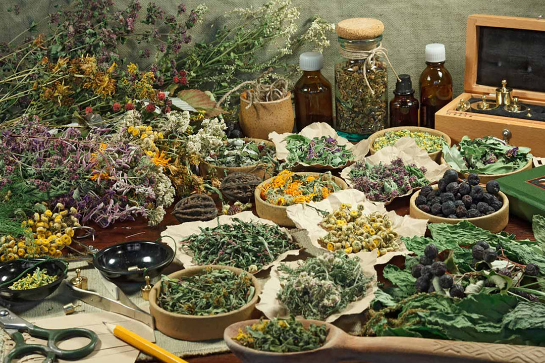 Herbal Tea: The Delicious Medicine In Your Pantry