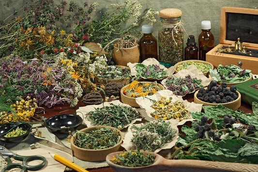 Herbal Tea: The Delicious Medicine In Your Pantry