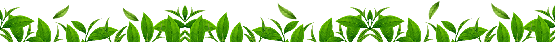 footer bottom logo